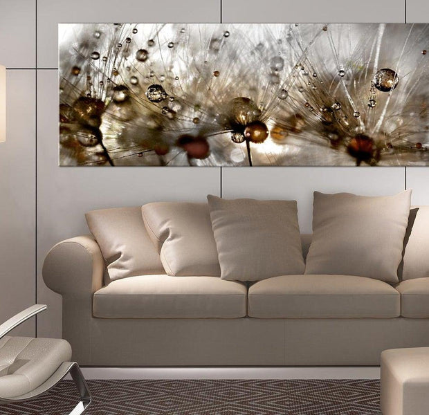 Stretched Canvas Botanical Art - Dandelions Waterdrops Brown