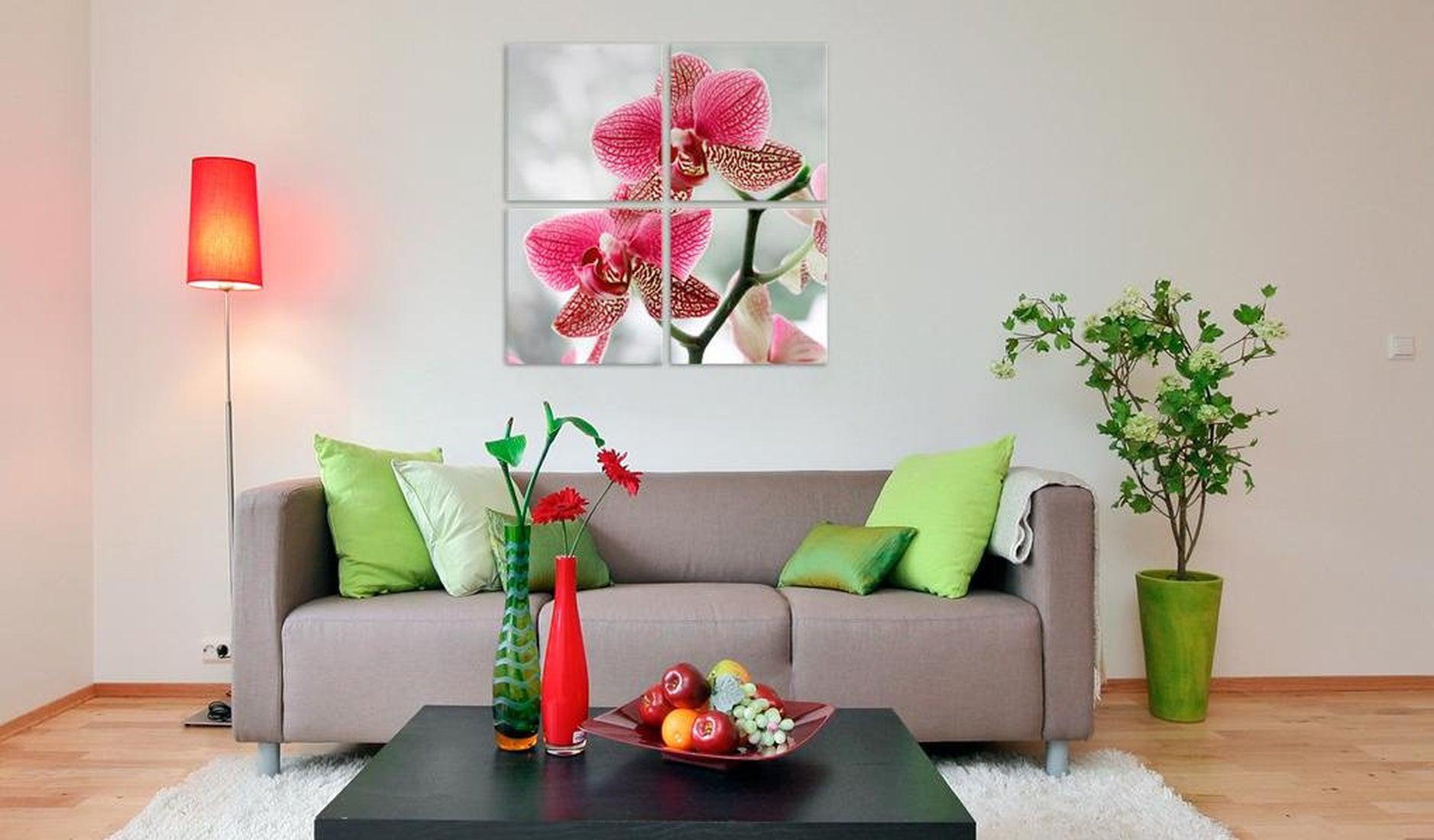 Stretched Canvas Floral Art - Fancy Orchid