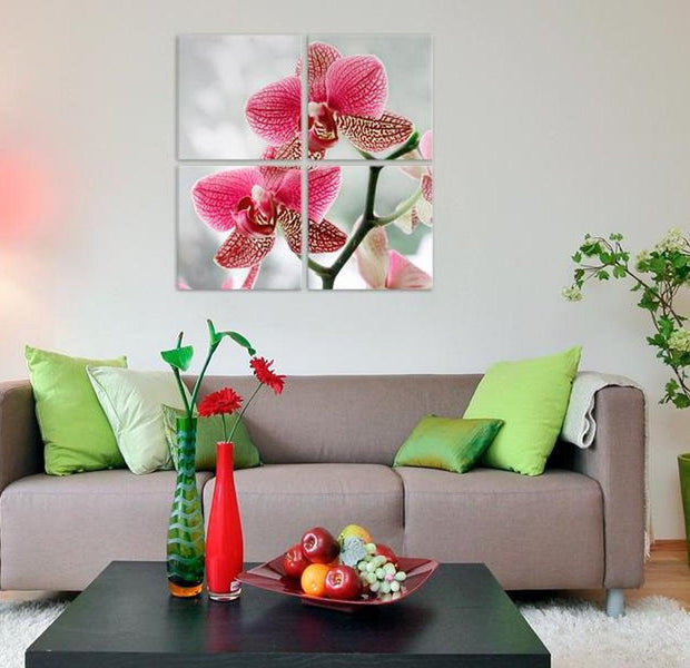 Stretched Canvas Floral Art - Fancy Orchid