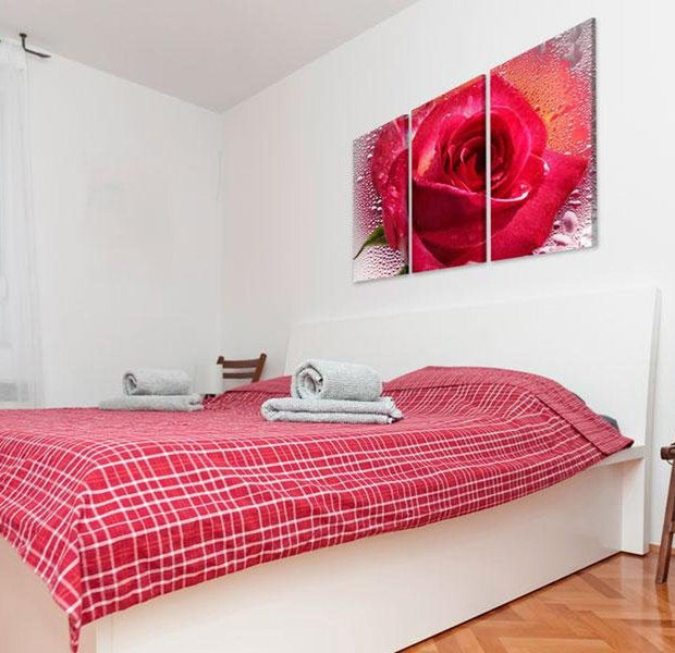 Stretched Canvas Floral Art - Lady Rose - Triptych