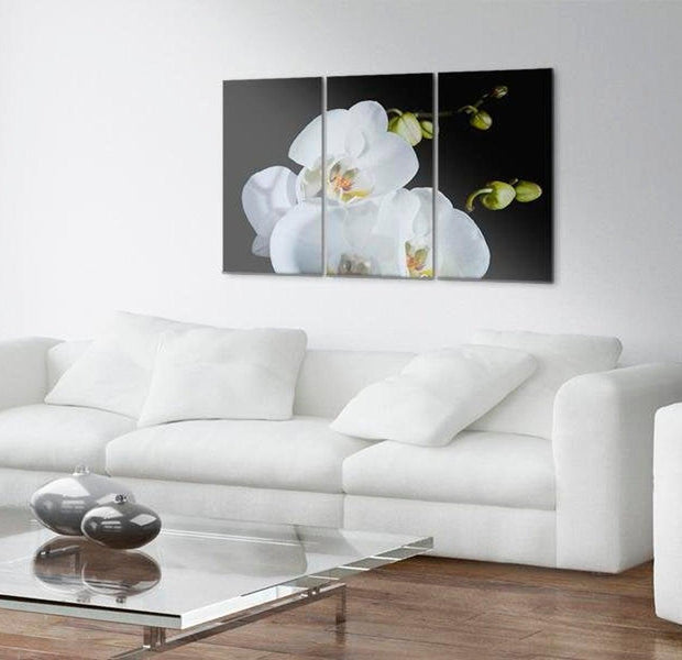 Stretched Canvas Floral Art - Snowy Orchid