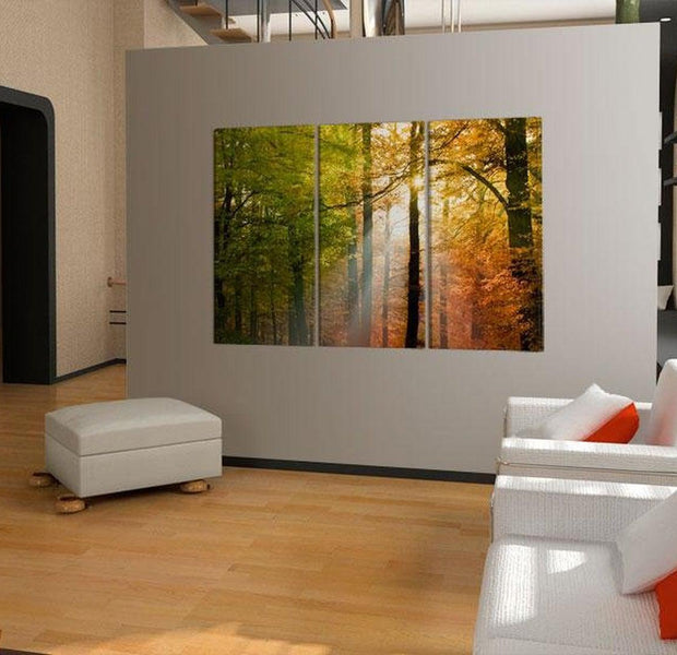 Stretched Canvas Landscape Art - A Calm Autumn Forest