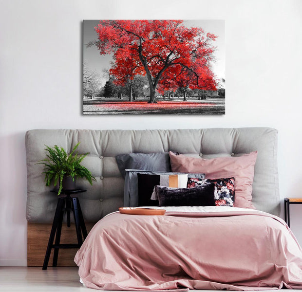 Stretched Canvas Landscape Art - Autumn In The Park Wide Red