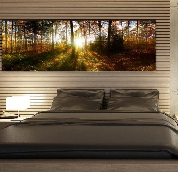 Stretched Canvas Landscape Art - Beautiful Forest