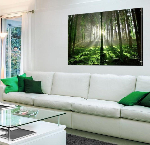 Stretched Canvas Landscape Art - Emerald Forest Sunlight