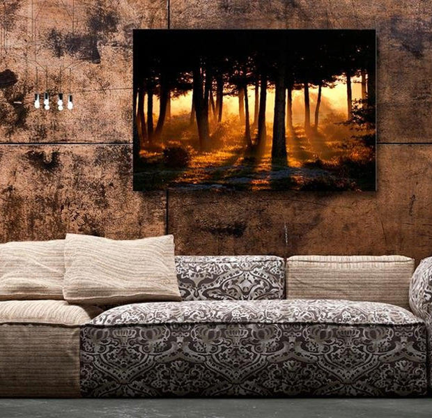 Stretched Canvas Landscape Art - Forest Dawn