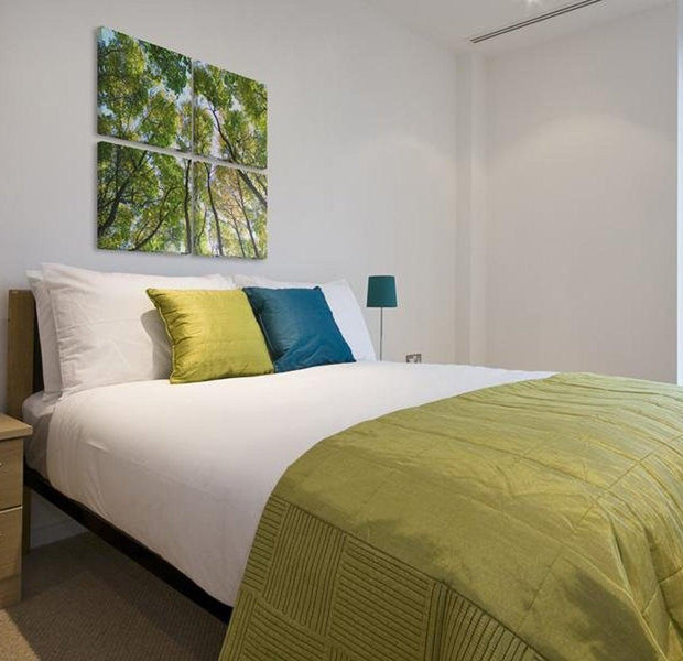 Stretched Canvas Landscape Art - Treetops