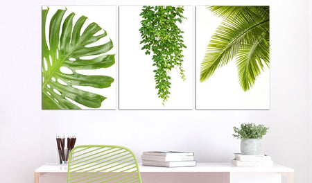 Stretched Canvas Botanical Art - Beautiful Palm Trees