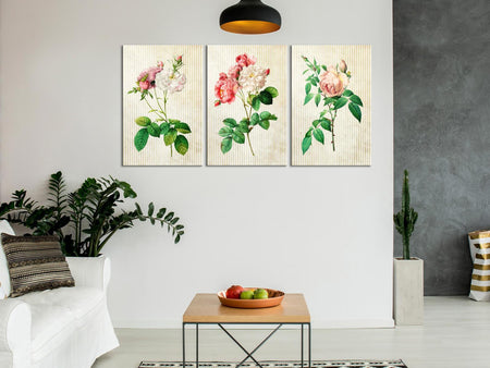 Stretched Canvas Botanical Art - Floral Trio