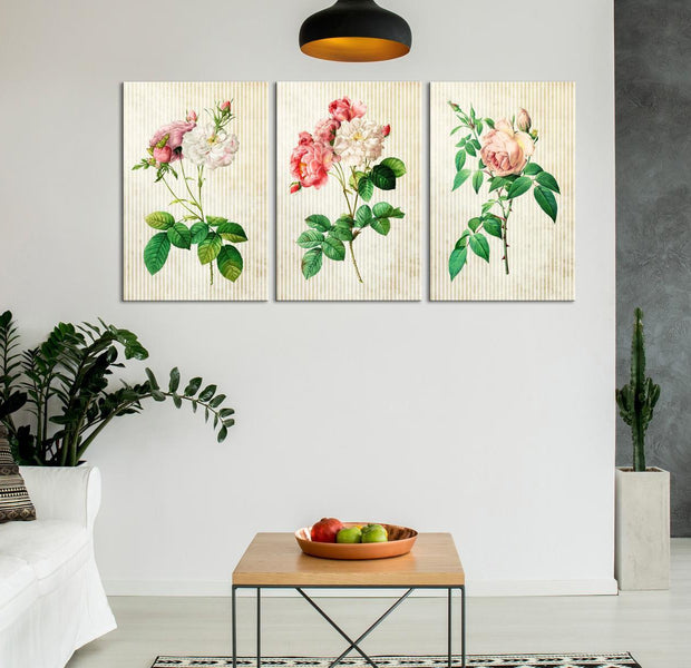Stretched Canvas Botanical Art - Floral Trio