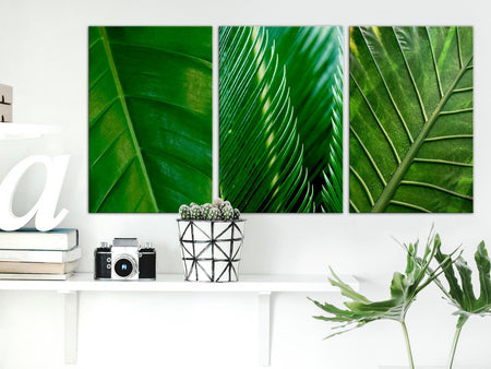 Stretched Canvas Botanical Art - Leaves