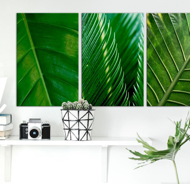 Stretched Canvas Botanical Art - Leaves