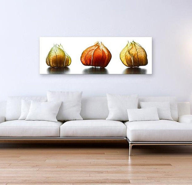 Stretched Canvas Still Life Art - Winter Cherry