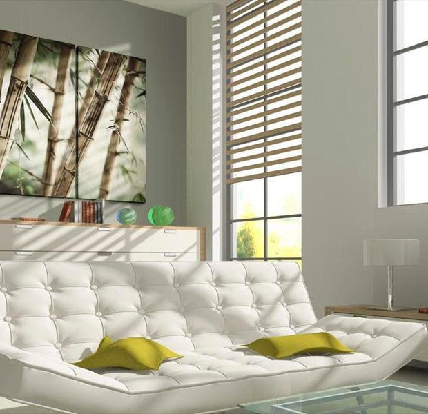 Stretched Canvas Zen Art - In A Tropical Forest