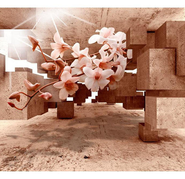 Peel & Stick 3D Illusion Wall Mural - Curiosities Of Nature - Removable Wall Decals