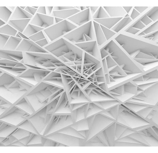 Peel & Stick 3D Illusion Wall Mural - White Spider's Web - Removable Wall Decals