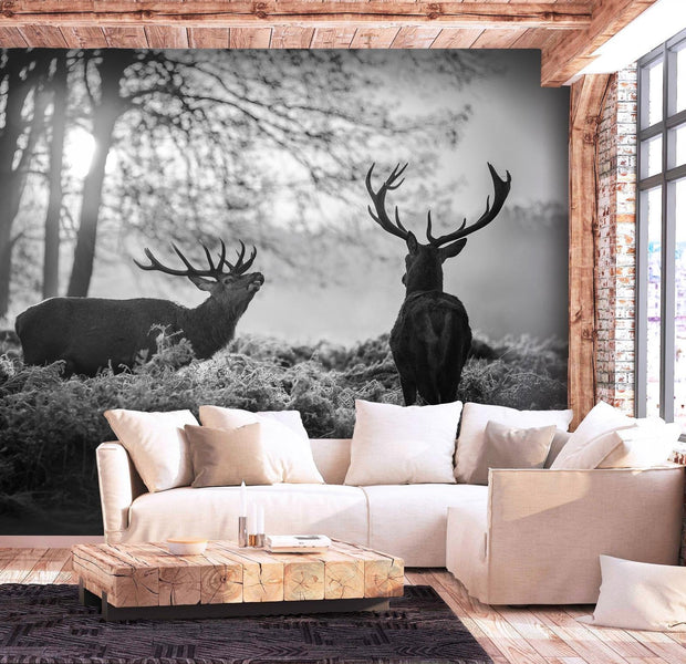 Animal Wallpaper Wall Mural - Deers In The Morning