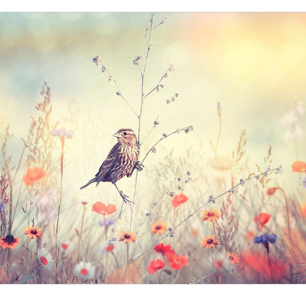 Peel & Stick Animal Wall Mural - Field Bird - Removable Wall Decals