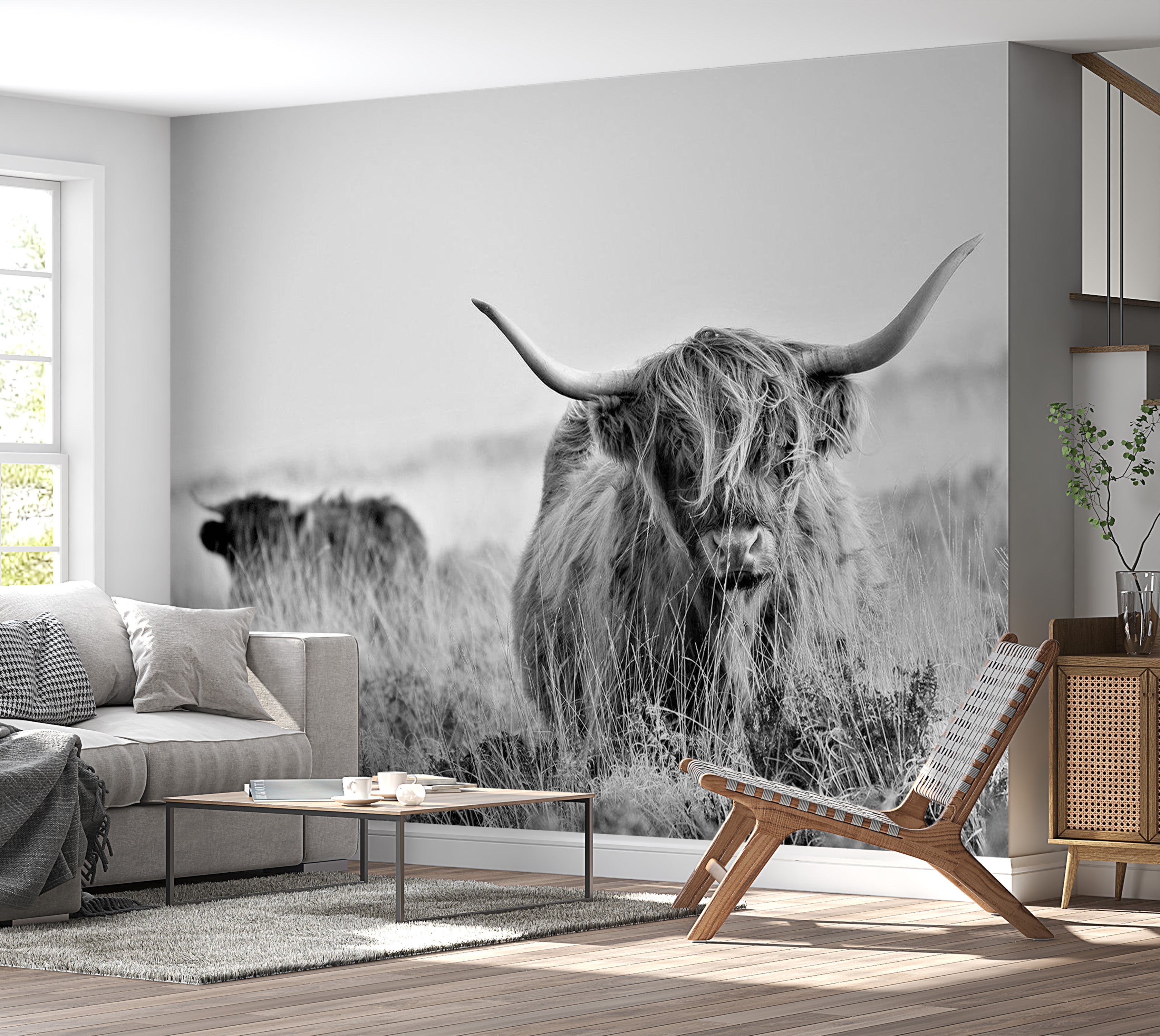 Peel & Stick Animal Wall Mural - Highland Cow - Removable Wall Decals