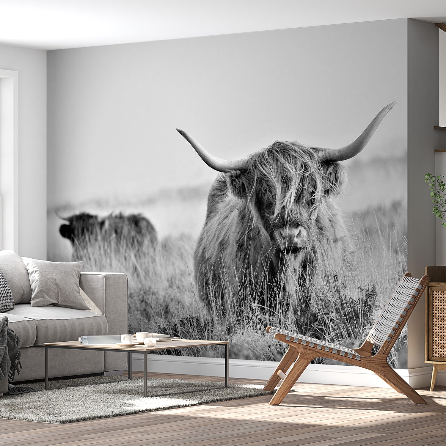 Peel & Stick Animal Wall Mural - Highland Cow - Removable Wall Decals