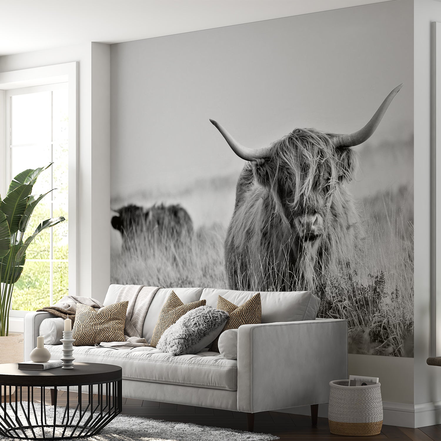 Peel & Stick Animal Wall Mural - Highland Cow - Removable Wall Decals
