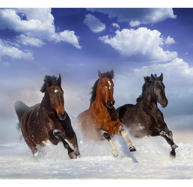 Peel & Stick Animal Wall Mural - Horses In The Snow - Removable Wall Decals
