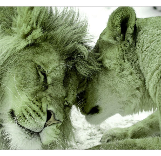 Peel & Stick Animal Wall Mural - Lion Tenderness Green - Removable Wall Decals