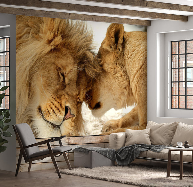Peel & Stick Animal Wall Mural - Lion Tenderness - Removable Wall Decals