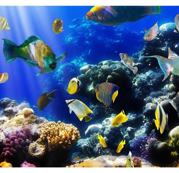 Peel & Stick Animal Wall Mural - Underwater World - Removable Wall Decals