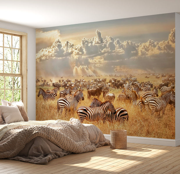 Peel & Stick Animal Wall Mural - Zebra Land - Removable Wall Decals