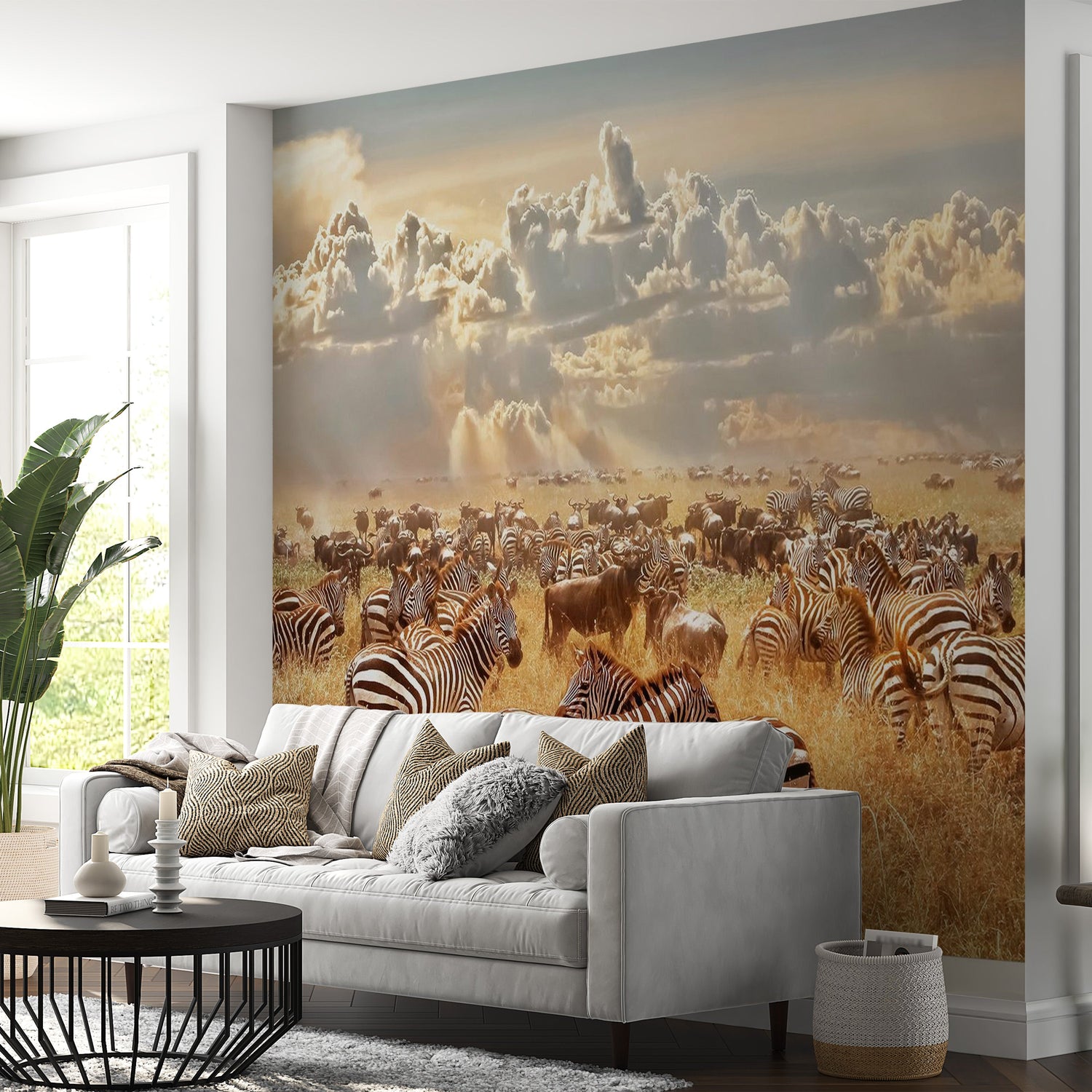 Animal Wallpaper Wall Mural - Zebra Land