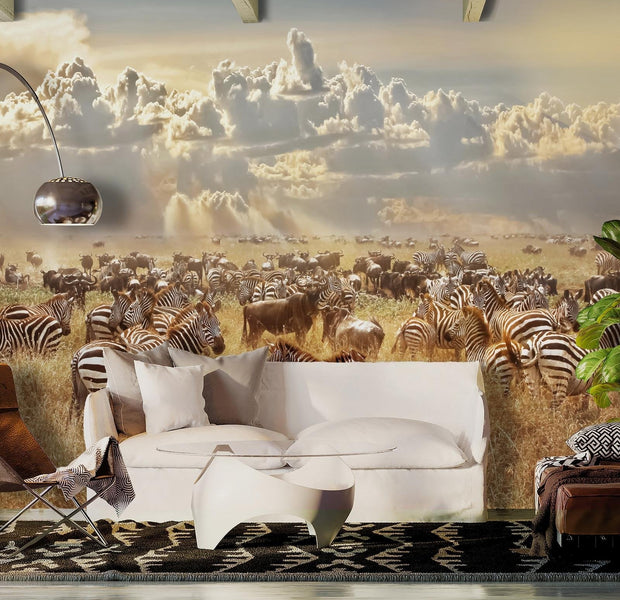 Animal Wallpaper Wall Mural - Zebra Land