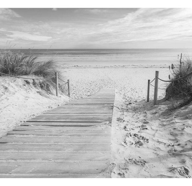 Peel & Stick Beach Wall Mural - Beach Black And White - Removable Wall Decals