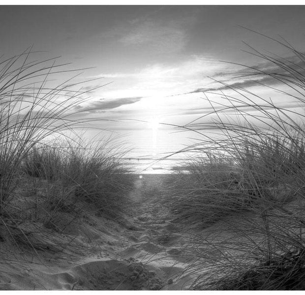 Peel & Stick Beach Wall Mural - Beach Black And White - Removable Wall Decals