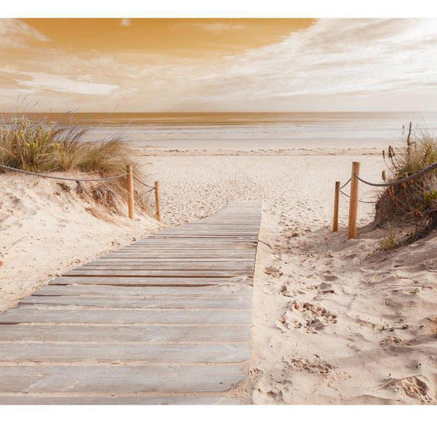Peel & Stick Beach Wall Mural - On The Beach Sepia - Removable Wall Decals