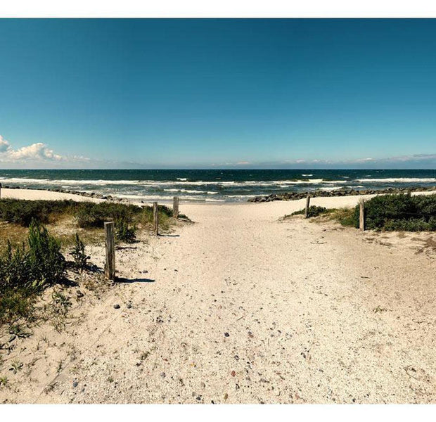 Peel & Stick Beach Wall Mural - Whisper Of The Sea - Removable Wall Decals