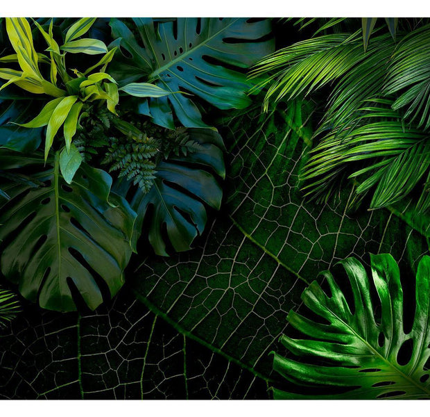 Peel & Stick Botanical Wall Mural - Dark Jungle - Removable Wall Decals