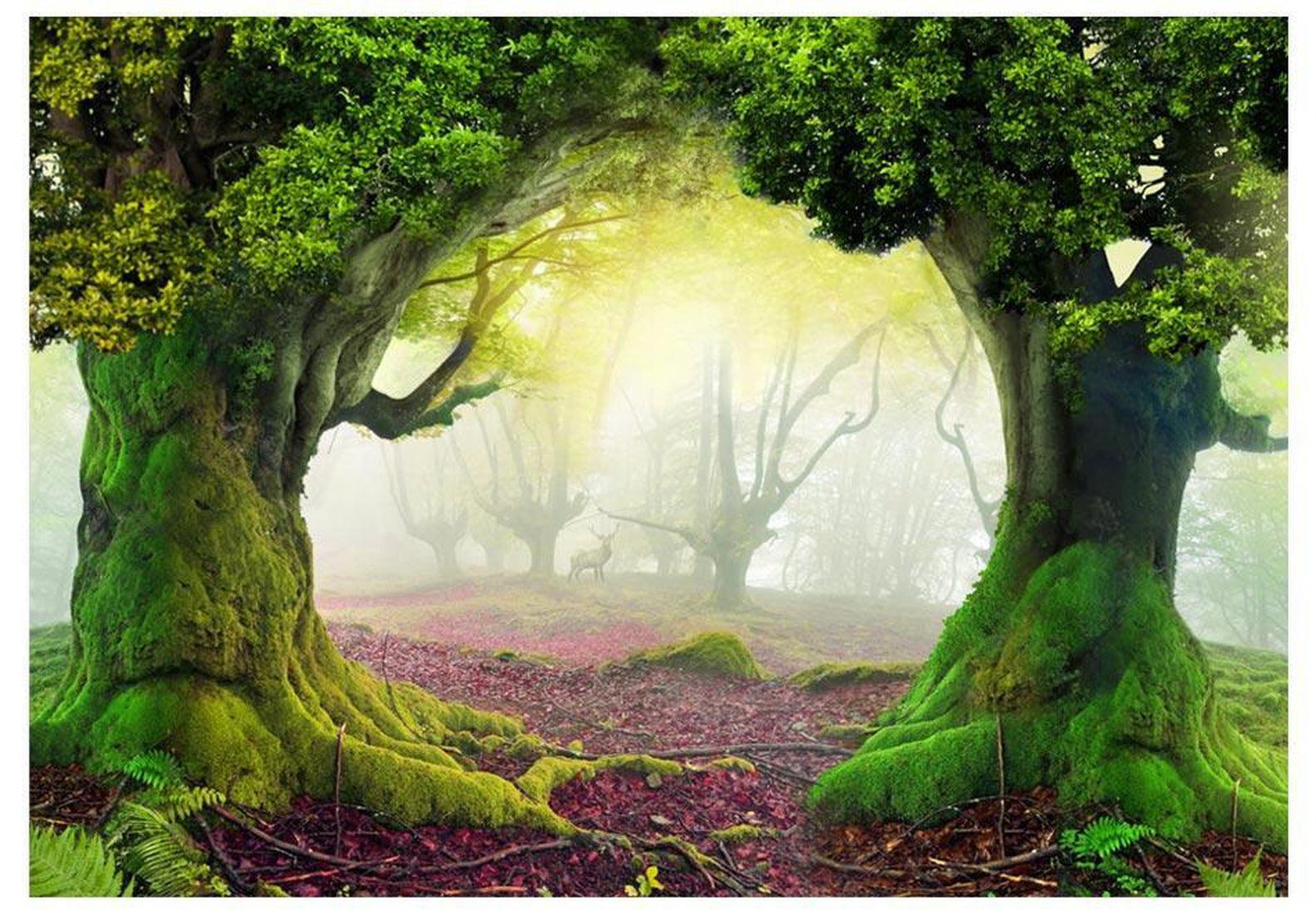 Peel & Stick Fantasy Wall Mural - Enchanted Forest - Removable Wall Decals