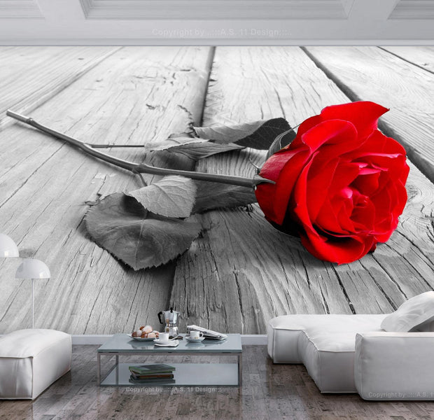 Peel & Stick Floral Wall Mural - Abandoned Rose - Removable Wall Decals