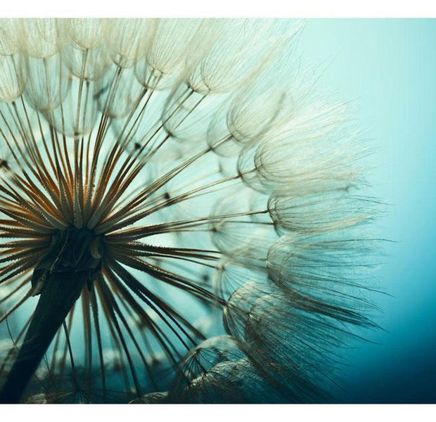 Peel & Stick Botanical Wall Mural - Blue Fascination Dandelion - Removable Wall Decals