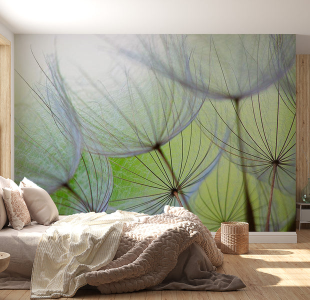 Peel & Stick Floral Wall Mural - Dandelions Closeup - Removable Wall Decals