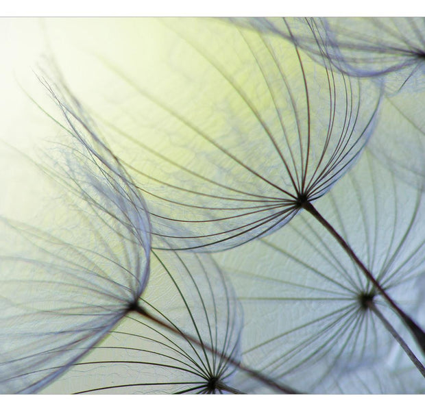 Peel & Stick Botanical Wall Mural - Natural Lightness - Removable Wall Decals