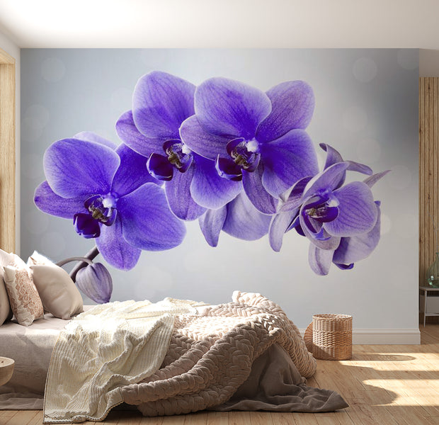 Peel & Stick Floral Wall Mural - Purple Orchid - Removable Wall Decals