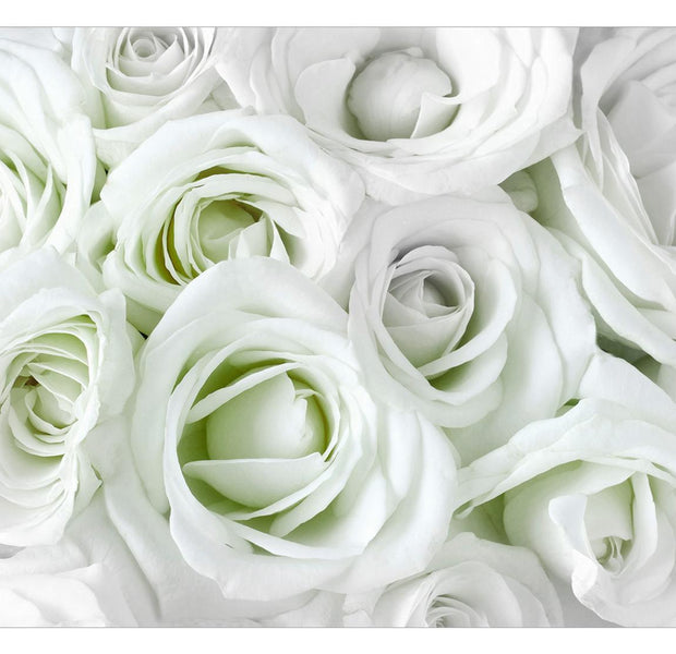 Peel & Stick Floral Wall Mural - Satin Rose Green - Removable Wall Decals