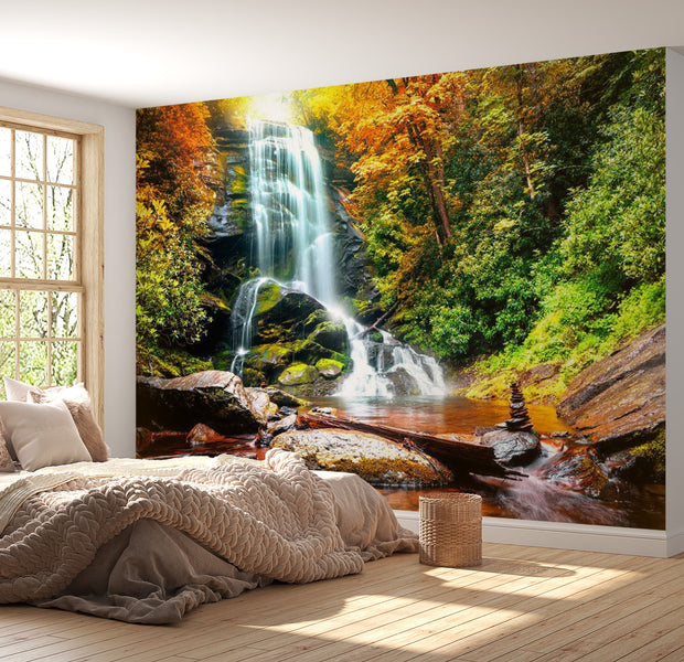 Peel & Stick Forest Wall Mural - Amazing Wonder Of Nature - Removable Wall Decals
