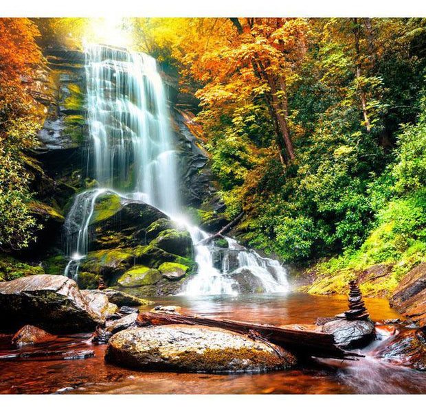 Peel & Stick Forest Wall Mural - Amazing Wonder Of Nature - Removable Wall Decals