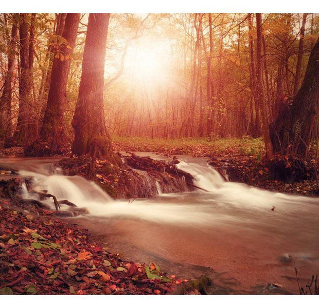 Peel & Stick Forest Wall Mural - Autumn Dreaminess - Removable Wall Decals