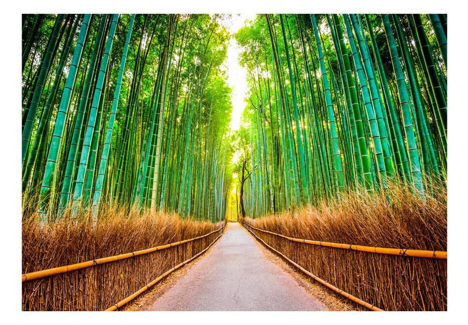 Peel & Stick Forest Wall Mural - Bamboo Forest - Removable Wall Decals