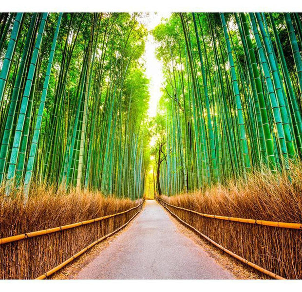 Peel & Stick Forest Wall Mural - Bamboo Forest - Removable Wall Decals
