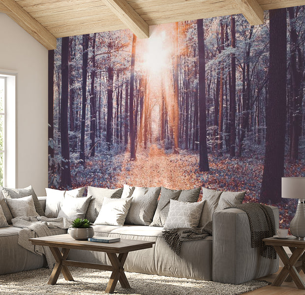 Peel & Stick Forest Wall Mural - Cold Morning In Nature - Removable Wall Decals